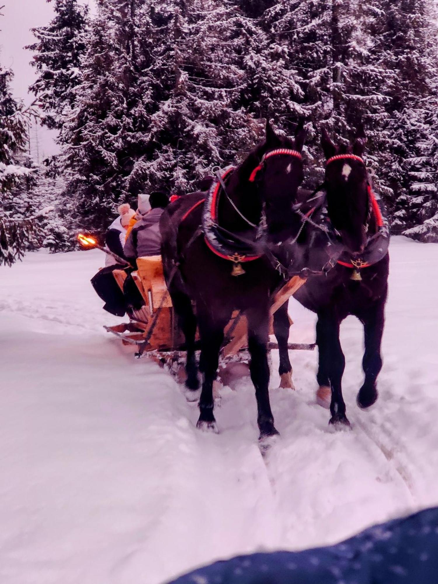 ECO Villa Karpatia Ski&SPA Murzasichle Esterno foto
