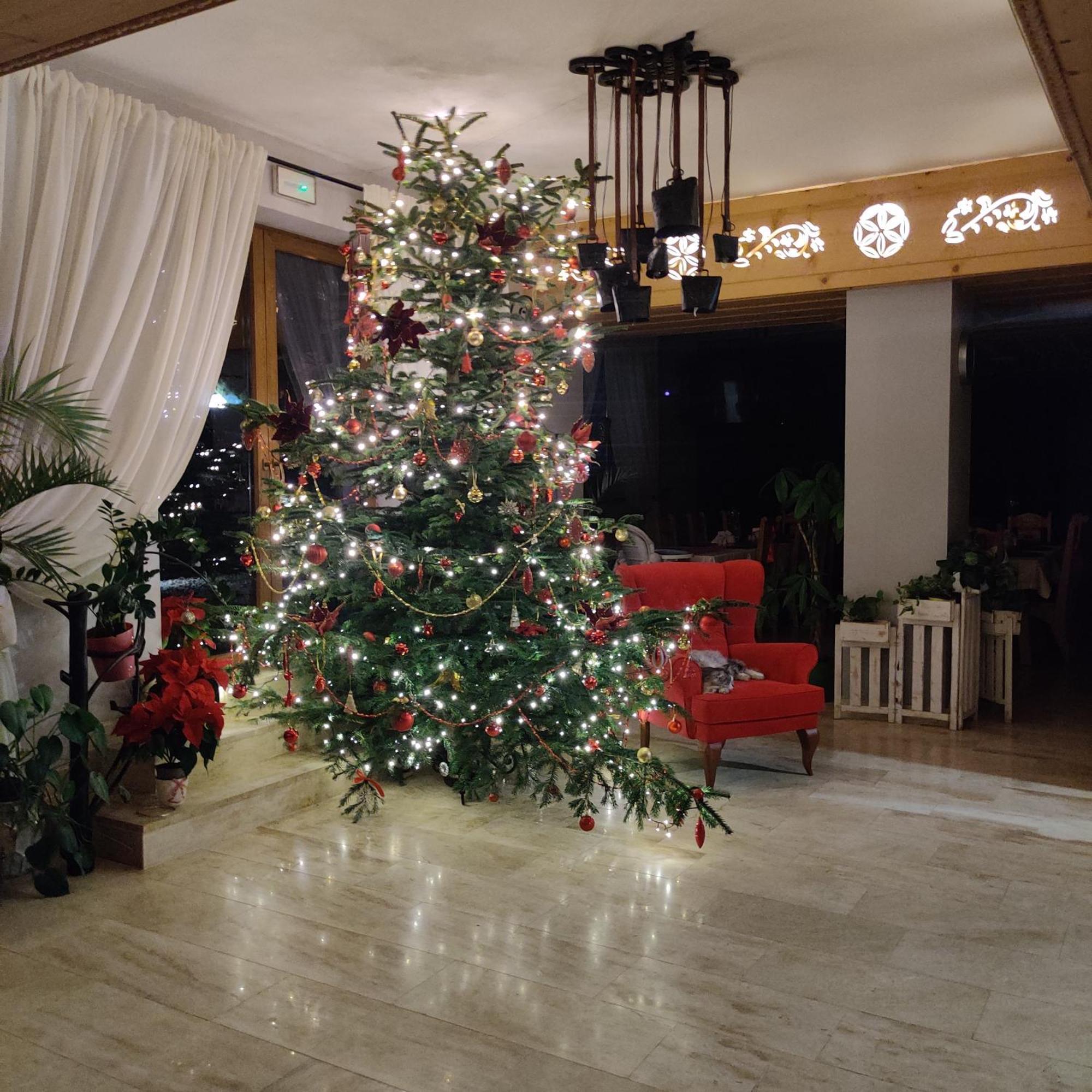 ECO Villa Karpatia Ski&SPA Murzasichle Esterno foto